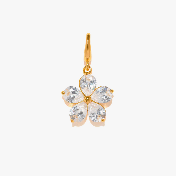Crystal Bloom The Flower That Shines
